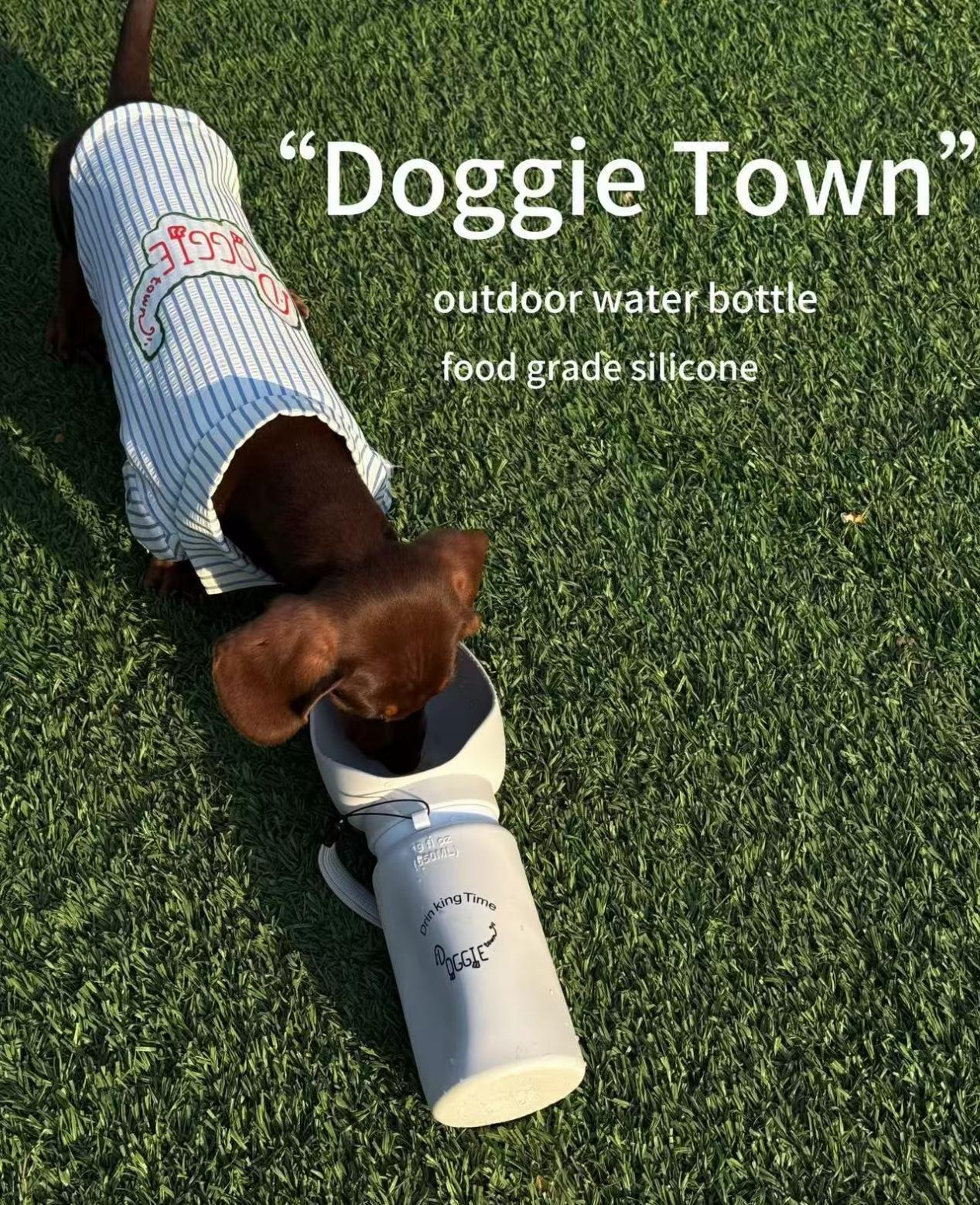 Dog Water Bottle