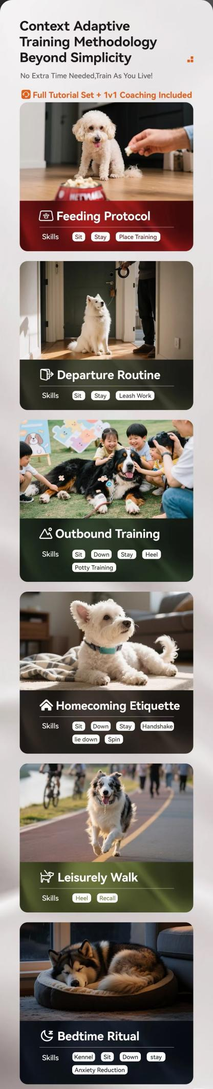Wireless Training Device + Retractable Leash
