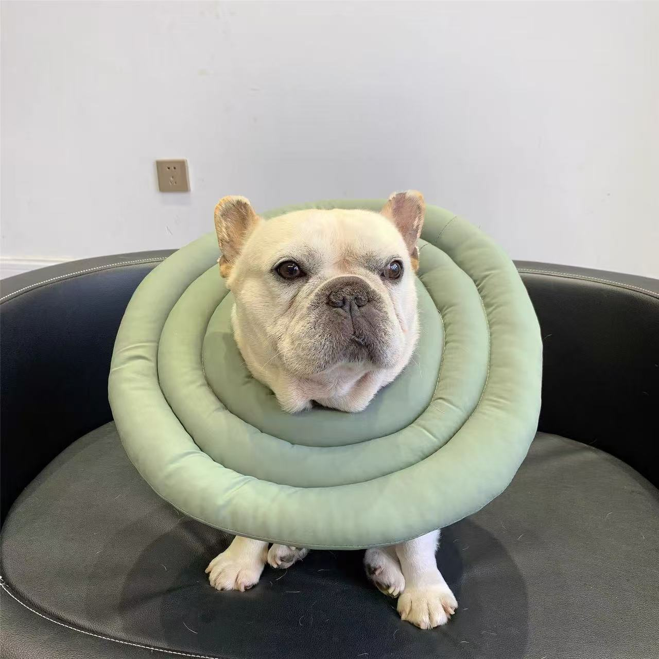 Recovery Cone Adjustable Collar for Dog & Cat