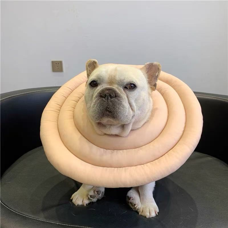 Recovery Cone Adjustable Collar for Dog & Cat