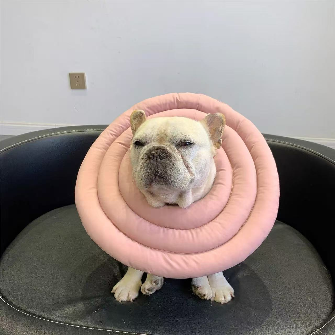 Recovery Cone Adjustable Collar for Dog & Cat