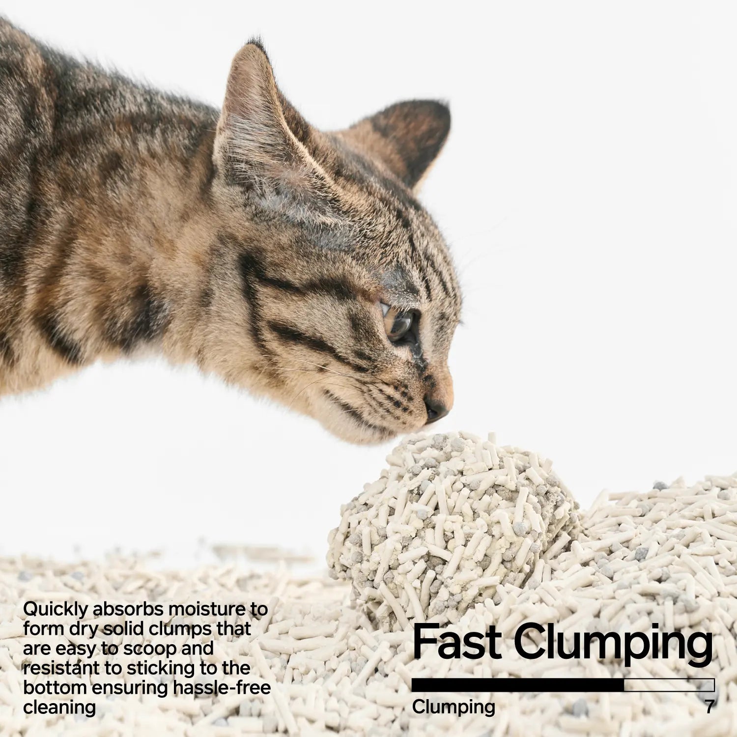 Signature Tofu & Bentonite Cat Litter [Odor Control & Great Absorption] [2.4kg]