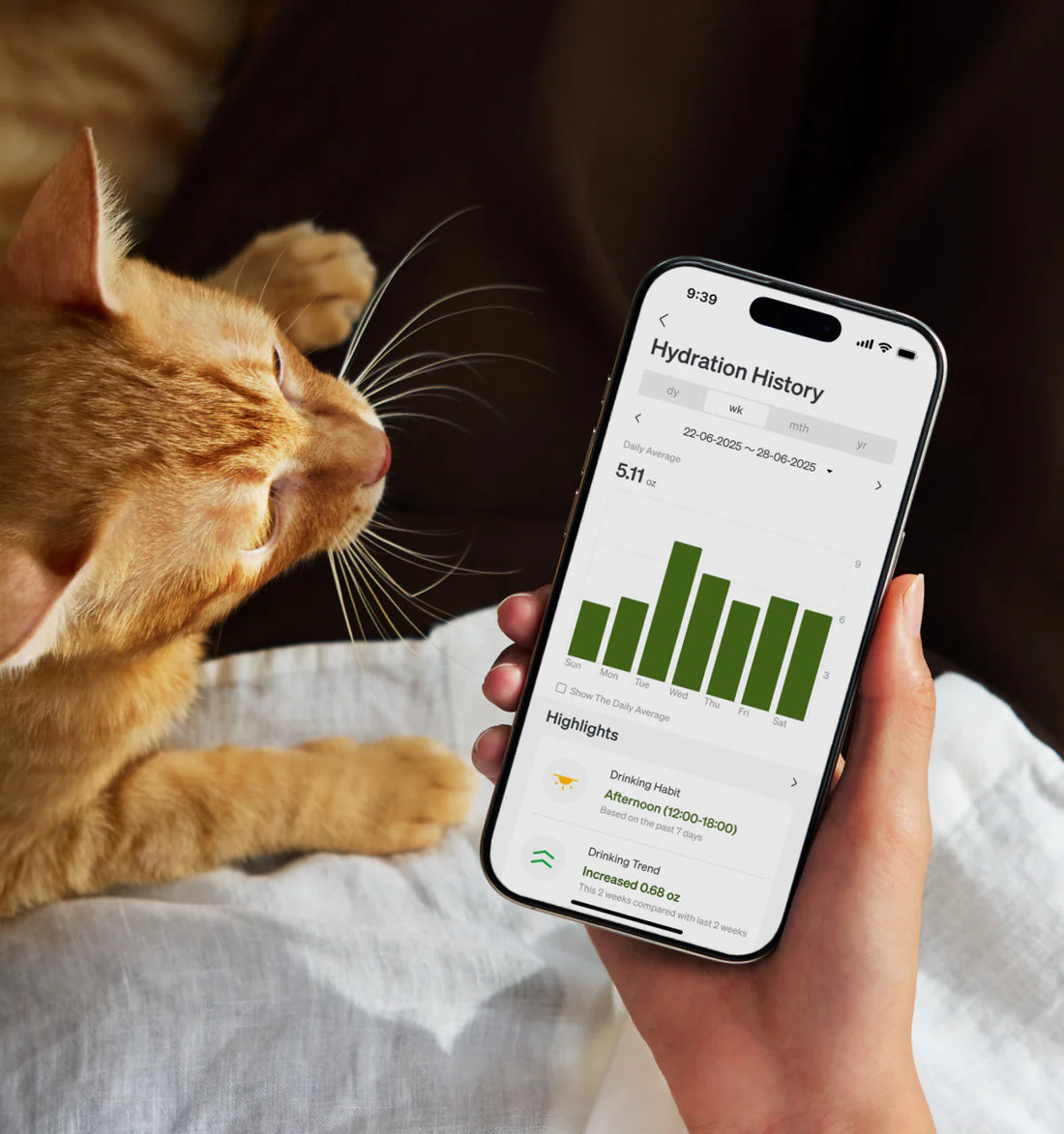 Pet World Smart Cordless Fountain