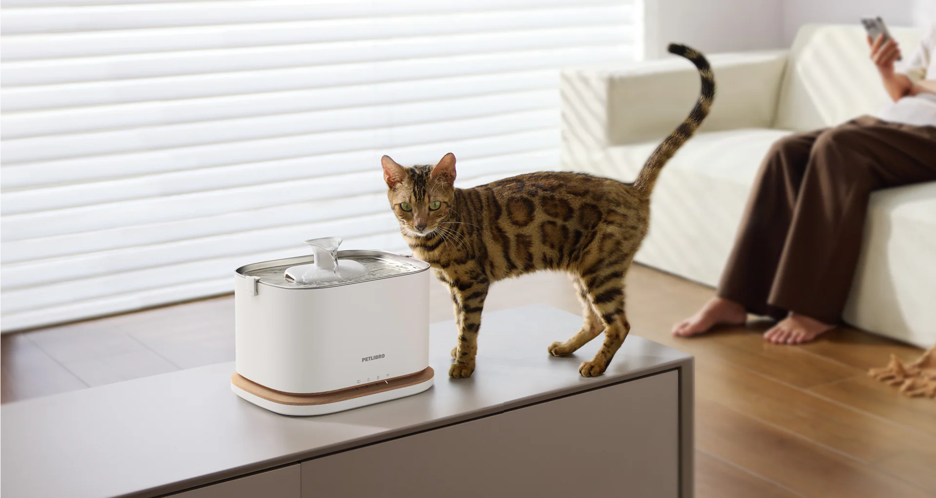 Pet World Smart Cordless Fountain
