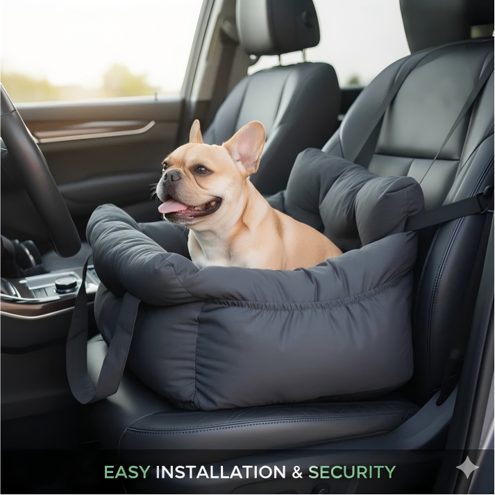 Luxury All-in-One Pet Car Carrier & Couch Bed