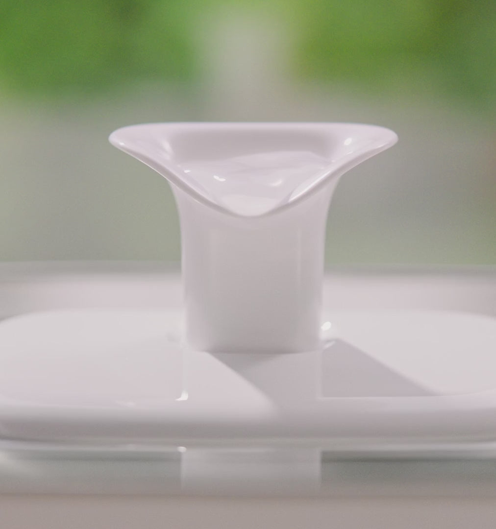Pet World Smart Cordless Fountain